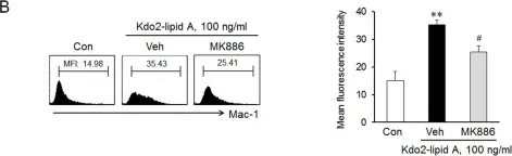 Fig.4.B showing Flow cytometry/Cell sorting from the publication: TLR4-mediated expression of Mac-1 in monocytes plays a pivotal role in monocyte adhesion to vascular endothelium.