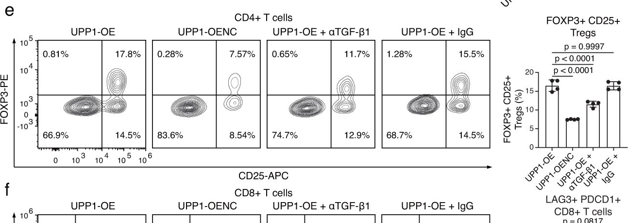 Fig.3.E showing Flow cytometry/Cell sorting in a Mus musculus (House mouse) sample from the publication: UPP1 promotes lung adenocarcinoma progression through the induction of an immunosuppressive microenvironment.