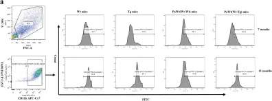 Fig.4.A showing Flow cytometry/Cell sorting in a Mus musculus (House mouse) sample from the publication: The effects of high plasma levels of Aβ1-42 on mononuclear macrophage in mouse models of Alzheimer's disease.