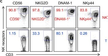 Fig.3.C showing Flow cytometry/Cell sorting in a Homo sapiens (Human) sample from the publication: Protocol to profile tumor and microenvironment from ovarian cancer patient samples and evaluate cell-based therapy using in vitro killing assays.
