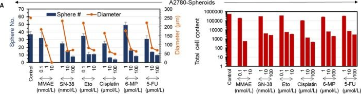 Fig.2.A from the publication: A novel chemotherapeutic protocol for peritoneal metastasis and inhibition of relapse in drug resistant ovarian cancer.