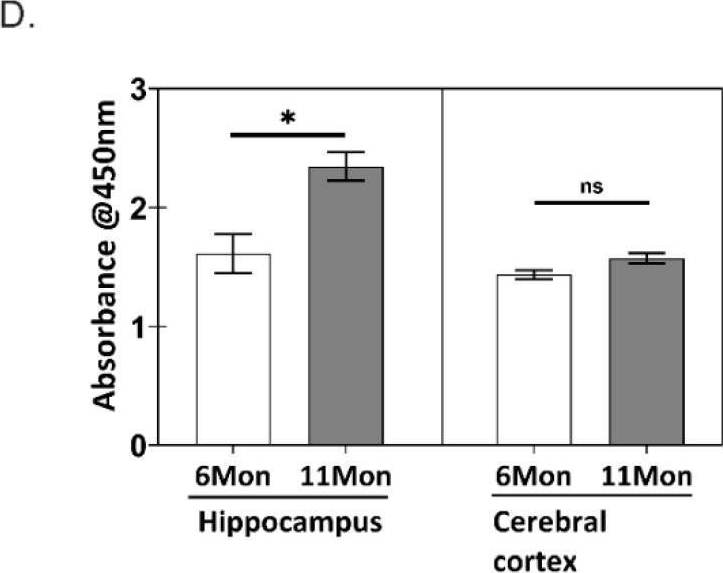 Fig.1.D showing Enzyme-linked immunosorbent assay in a Homo sapiens (Human) sample from the publication: The Interplay between GSK3β and Tau Ser262 Phosphorylation during the Progression of Tau Pathology.