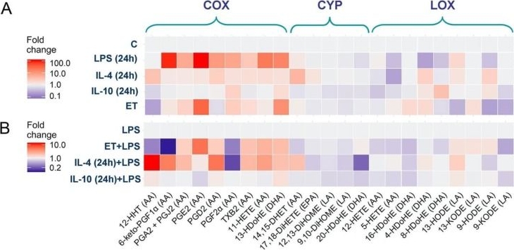 Fig.3.A from the publication: Oxylipin Profiles as Functional Characteristics of Acute Inflammatory Responses in Astrocytes Pre-Treated with IL-4, IL-10, or LPS.