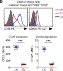 Fig.4.D showing Flow cytometry/Cell sorting from the publication: The small intestine epithelium exempts Foxp3+ Tregs from their IL-2 requirement for homeostasis and effector function.