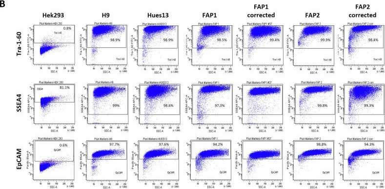 Fig.2.B showing Flow cytometry/Cell sorting in a Mus musculus (House mouse) sample from the publication: Predicting colorectal cancer risk in FAP patients using patient-specific organoids.