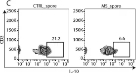 Fig.2.C showing Flow cytometry/Cell sorting in a Homo sapiens (Human) sample from the publication: Multiple Sclerosis-Associated Changes in the Composition and Immune Functions of Spore-Forming Bacteria.
