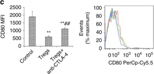 Fig.8.C showing Flow cytometry/Cell sorting in a Mus musculus (House mouse) sample from the publication: Foxp3+ Tregs are recruited to the retina to repair pathological angiogenesis.
