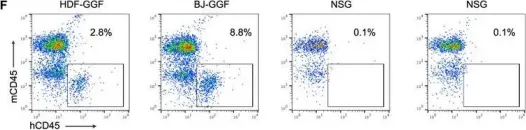 Fig.3.F showing Flow cytometry/Cell sorting in a Homo sapiens (Human) sample from the publication: Cooperative Transcription Factor Induction Mediates Hemogenic Reprogramming.
