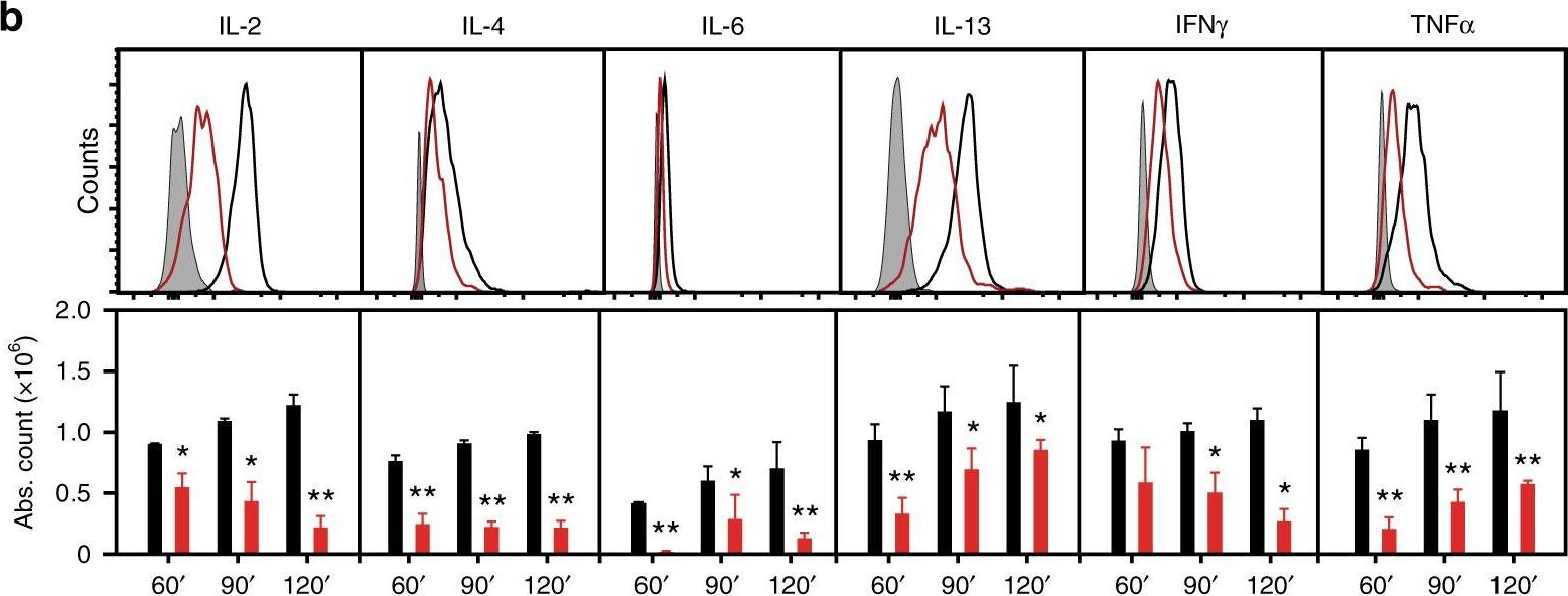 Fig.3.B showing Flow cytometry/Cell sorting in a Mus musculus (House mouse) sample from the publication: Stabilization of cytokine mRNAs in iNKT cells requires the serine-threonine kinase IRE1alpha.