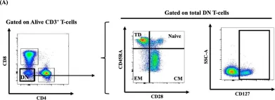 Fig.2.A showing Flow cytometry/Cell sorting from the publication: Double-Negative T-Cells during Acute Human Immunodeficiency Virus and Simian Immunodeficiency Virus Infections and Following Early Antiretroviral Therapy Initiation.