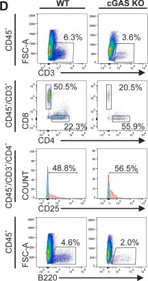 Fig.3.D showing Flow cytometry/Cell sorting from the publication: A protective cGAMP-mediated anti-tumor immune response can proceed without LRRC8/VRAC channels.