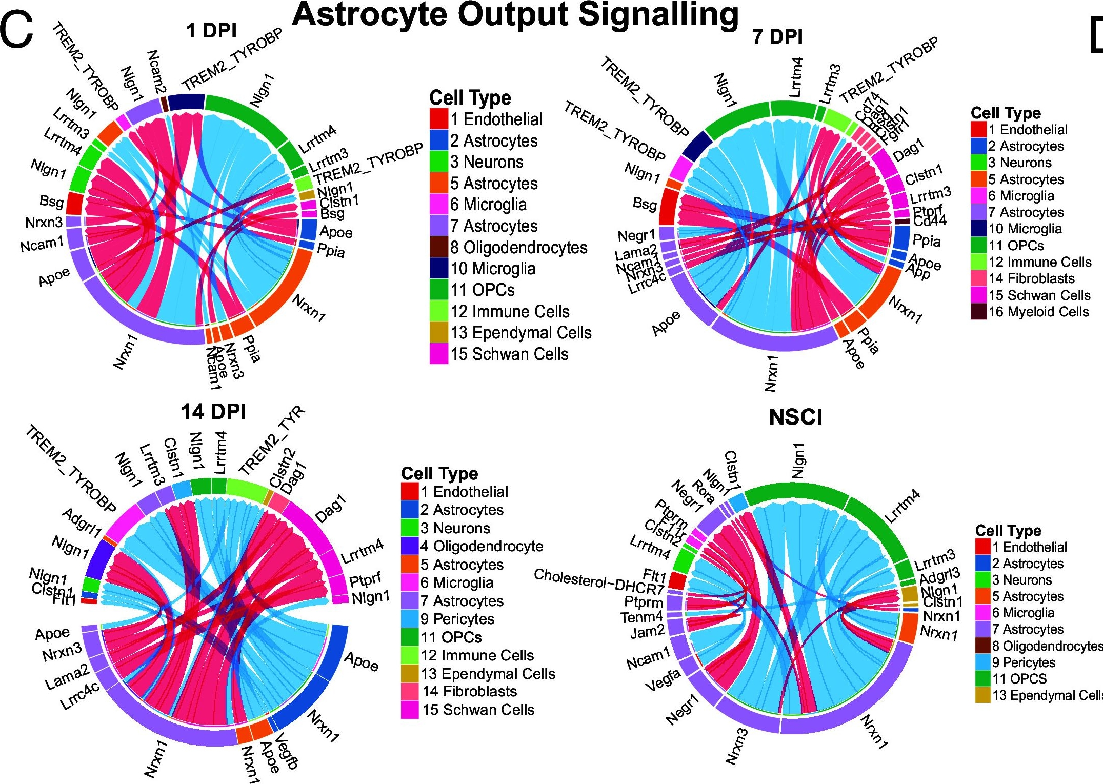 Fig.4.C showing Flow cytometry/Cell sorting from the publication: Astrocytic Ryk signaling coordinates scarring and wound healing after spinal cord injury.