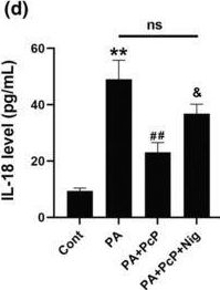 Fig.3.D showing Enzyme-linked immunosorbent assay from the publication: Penthorum chinense Pursh extract ameliorates hepatic steatosis by suppressing pyroptosis via the NLRP3/Caspase-1/GSDMD pathway.