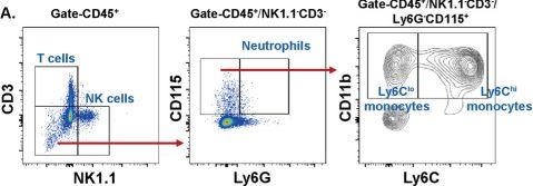 Fig.6.A showing Flow cytometry/Cell sorting in a Mus musculus (House mouse) sample from the publication: NOD1 deficiency ameliorates the progression of diabetic retinopathy by modulating bone marrow-retina crosstalk.