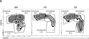Fig.5.B showing Flow cytometry/Cell sorting from the publication: Osteoclastogenesis of human peripheral blood, bone marrow, and cord blood monocytes.