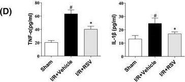 Fig.2.D showing Enzyme-linked immunosorbent assay from the publication: Resveratrol, novel application by preconditioning to attenuate myocardial ischemia/reperfusion injury in mice through regulate AMPK pathway and autophagy level.