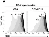 Fig.8.A showing Flow cytometry/Cell sorting in a Mus musculus (House mouse) sample from the publication: SNX27 links DGKζ to the control of transcriptional and metabolic programs in T lymphocytes.