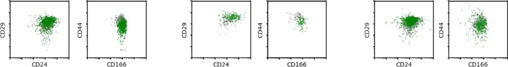 Fig.1.D showing Flow cytometry/Cell sorting in a Homo sapiens (Human) sample from the publication: Replication Study: Wnt activity defines colon cancer stem cells and is regulated by the microenvironment.