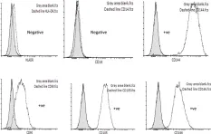 Fig.1.B showing Flow cytometry/Cell sorting in a Homo sapiens (Human) sample from the publication: The effect of human placental chorionic villi derived mesenchymal stem cell on triple-negative breast cancer hallmarks.
