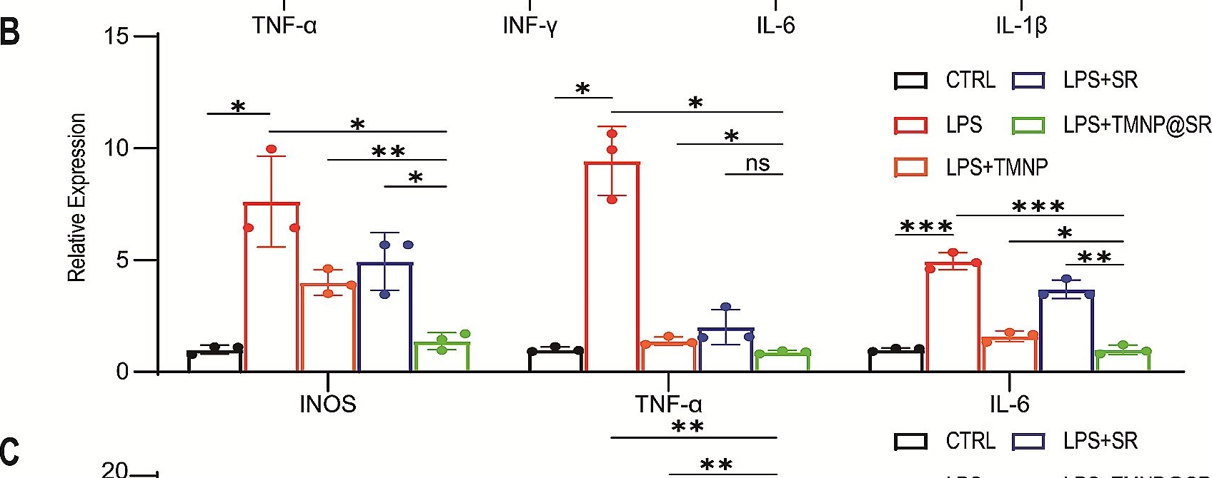Fig.3.B from the publication: A structured biomimetic nanoparticle as inflammatory factor sponge and autophagy-regulatory agent against intervertebral disc degeneration and discogenic pain.