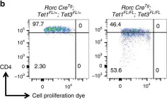 Fig.6.B showing Flow cytometry/Cell sorting from the publication: Stage-specific epigenetic regulation of CD4 expression by coordinated enhancer elements during T cell development.
