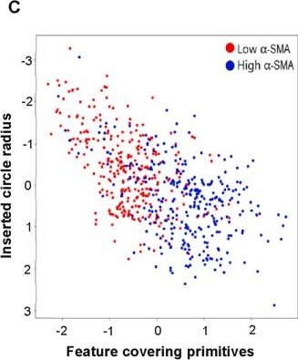 Fig.4.C showing Flow cytometry/Cell sorting in a Mus musculus (House mouse) sample from the publication: Immunomodulatory topographies regulate myofibroblast differentiation and influence fibrous encapsulation of glaucoma drainage devices.