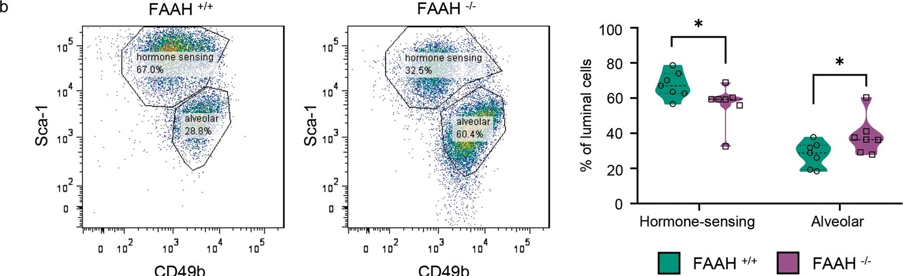 Fig.6.B showing Flow cytometry/Cell sorting in a Mus musculus (House mouse) sample from the publication: Fatty acid amide hydrolase drives adult mammary gland development by promoting luminal cell differentiation.