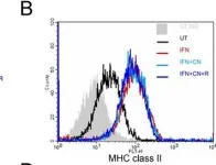 Fig.5.B showing Flow cytometry/Cell sorting in a Mus musculus (House mouse) sample from the publication: Ciliary neurotrophic factor (CNTF) plus soluble CNTF receptor alpha increases cyclooxygenase-2 expression, PGE2 release and interferon-gamma-induced CD40 in murine microglia.