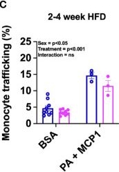 Fig.5.C from the publication: Monocyte Trafficking and Polarization Contribute to Sex Differences in Meta-Inflammation.