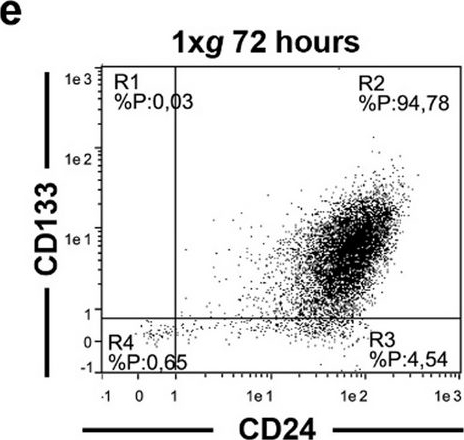 Fig.2.E showing Flow cytometry/Cell sorting in a Homo sapiens (Human) sample from the publication: Modeled microgravity unravels the roles of mechanical forces in renal progenitor cell physiology.