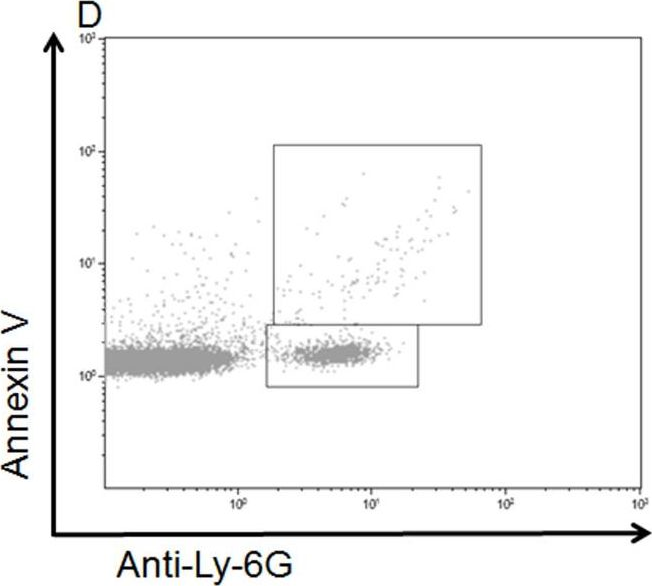 Fig.1.D showing Flow cytometry/Cell sorting from the publication: Characterization of microparticles after hepatic ischemia-reperfusion injury.