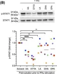 Fig.4.B showing Western Blotting from the publication: Arachidonic acid, a clinically adverse mediator in the ovarian cancer microenvironment, impairs JAK-STAT signaling in macrophages by perturbing lipid raft structures.