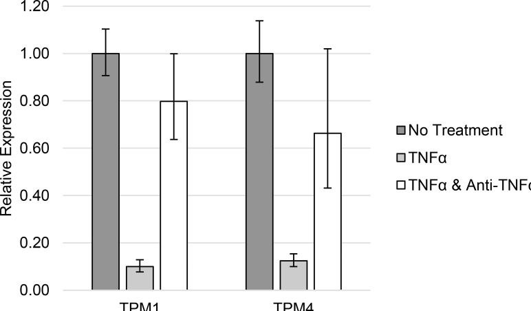 Fig.4.A showing Functional assays in a Homo sapiens (Human) sample from the publication: Inflammatory Adipokines Decrease Expression of Two High Molecular Weight Isoforms of Tropomyosin Similar to the Change in Type 2 Diabetic Patients.