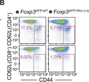 Fig.12.B showing Flow cytometry/Cell sorting in a Mus musculus (House mouse) sample from the publication: Ferritin heavy chain supports stability and function of the regulatory T cell lineage.