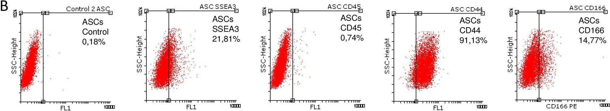Fig.1.B showing Flow cytometry/Cell sorting from the publication: Promoting early neovascularization by allotransplanted adipose-derived Muse cells in an ovine model of acute myocardial infarction.