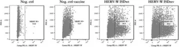 Fig.2.A showing Flow cytometry/Cell sorting in a Mus musculus (House mouse) sample from the publication: Human Ad19a/64 HERV-W Vaccines Uncover Immunosuppression Domain-Dependent T-Cell Response Differences in Inbred Mice.
