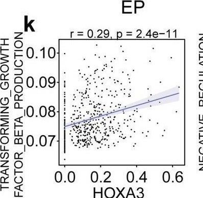 Fig.5.K showing Flow cytometry/Cell sorting in a Homo sapiens (Human) sample from the publication: Effects of HOX family regulator-mediated modification patterns and immunity characteristics on tumor-associated cell type in endometrial cancer.