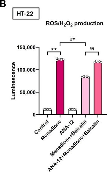 Fig.5.B from the publication: Baicalin Alleviates Chronic Restraint Stress-Induced Depression-like Behavior by Suppressing ROS/H2O2 Generation via a BDNF-Associated Mechanism in Mice.