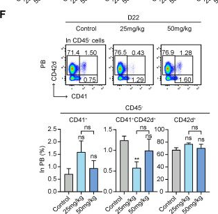 Fig.4.F showing Flow cytometry/Cell sorting in a Mus musculus (House mouse) sample from the publication: MCL-1 Inhibitor S63845 Distinctively Affects Intramedullary and Extramedullary Hematopoiesis.