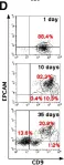 Fig.2.D showing Flow cytometry/Cell sorting from the publication: Dynamic changes in EPCAM expression during spermatogonial stem cell differentiation in the mouse testis.
