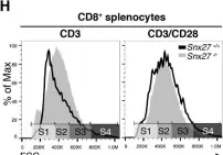 Fig.8.H showing Flow cytometry/Cell sorting in a Mus musculus (House mouse) sample from the publication: SNX27 links DGKζ to the control of transcriptional and metabolic programs in T lymphocytes.