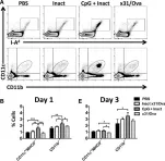 Fig.3.A,B,E showing Flow cytometry/Cell sorting in a Mus musculus (House mouse) sample from the publication: Single-Dose CpG Immunization Protects Against a Heterosubtypic Challenge and Generates Antigen-Specific Memory T Cells.