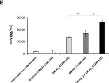 Fig.7.E showing Enzyme-linked immunosorbent assay from the publication: Generation of novel human anti-OX-40 mAbs endowed with different biological properties as tools for cancer therapy.