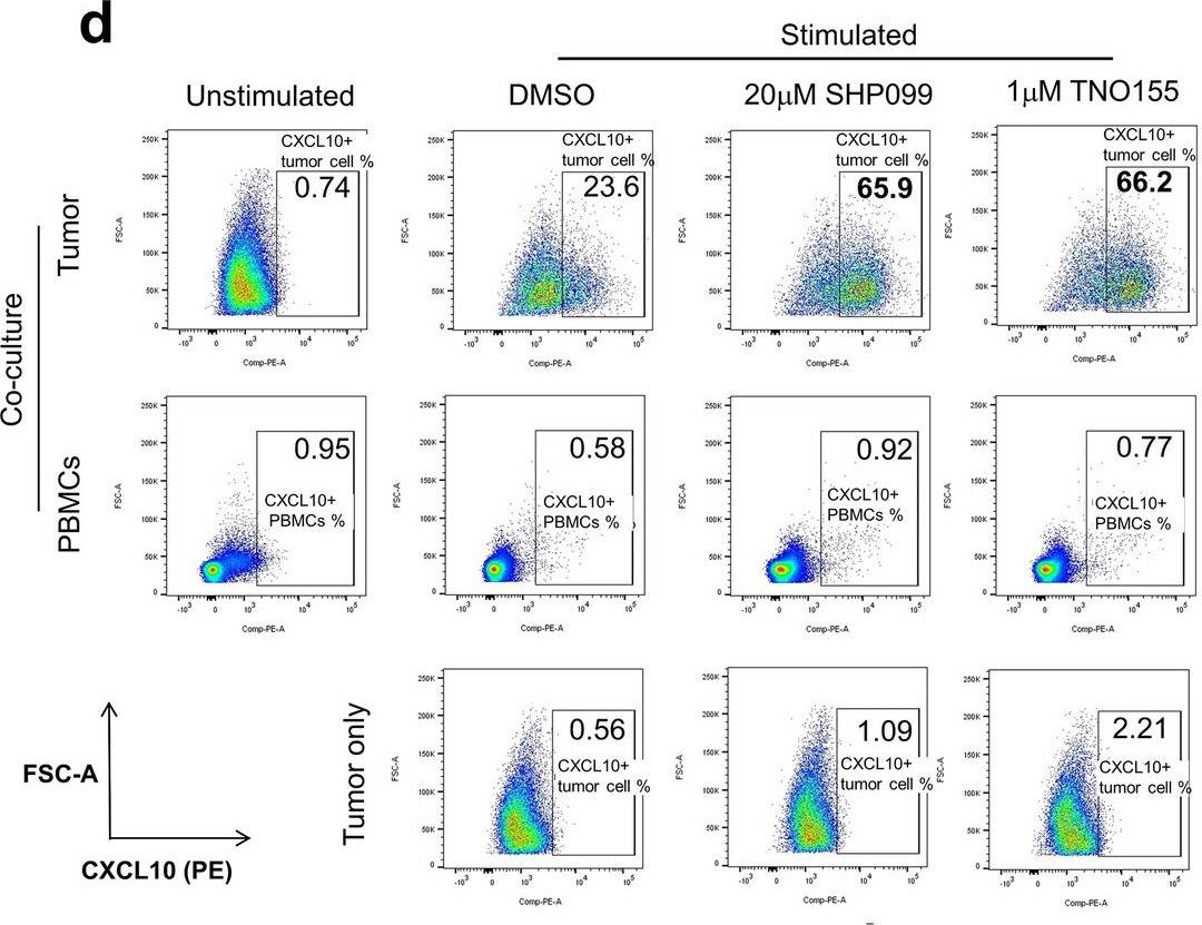 Fig.3.D showing Flow cytometry/Cell sorting in a Mus musculus (House mouse) sample from the publication: SHP2 blockade enhances anti-tumor immunity via tumor cell intrinsic and extrinsic mechanisms.