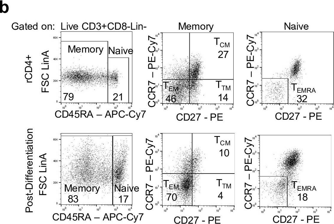 Fig.1.B showing Flow cytometry/Cell sorting in a Homo sapiens (Human) sample from the publication: Effector memory differentiation increases detection of replication-competent HIV-l in resting CD4+ T cells from virally suppressed individuals.