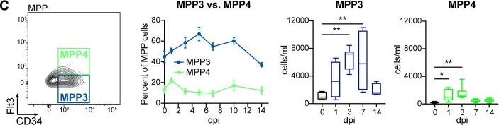 Fig.2.C showing Flow cytometry/Cell sorting from the publication: Induction of myelopoiesis by Candida dubliniensis drives protective trained immunity against sepsis in a Card9-dependent manner.