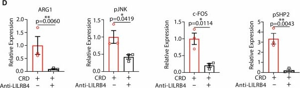 Fig.7.D showing Flow cytometry/Cell sorting from the publication: LILRB4 regulates circadian disruption-induced mammary tumorigenesis via non-canonical WNT signaling pathway.