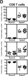 Fig.1.D showing Flow cytometry/Cell sorting from the publication: Fibroblast activation protein is dispensable in the anti-influenza immune response in mice.