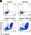 Fig.4.B showing Flow cytometry/Cell sorting in a Mus musculus (House mouse) sample from the publication: Lymph node targeted multi-epitope subunit vaccine promotes effective immunity to EBV in HLA-expressing mice.