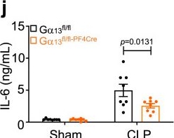 Fig.7.I from the publication: Targeting Gα13-integrin interaction ameliorates systemic inflammation.